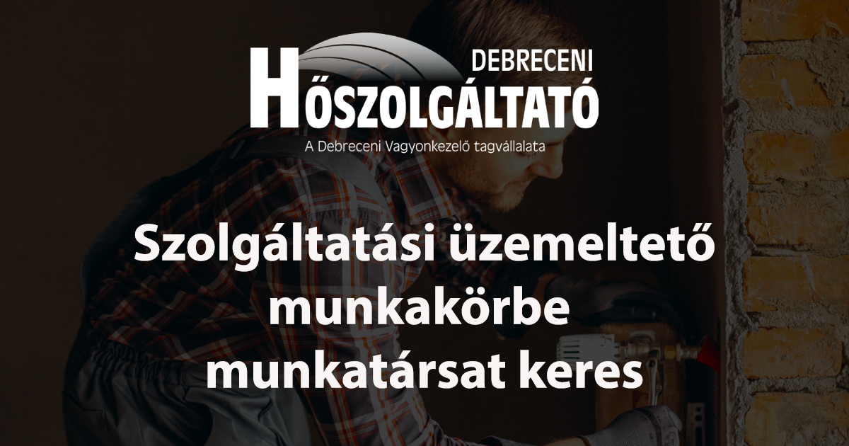 Read more about the article Szolgáltatási üzemeltető